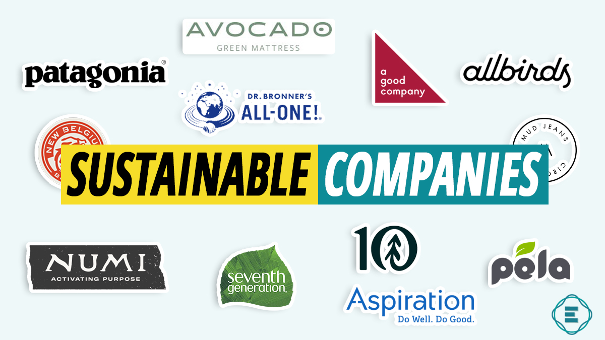 environmentally-friendly-companies