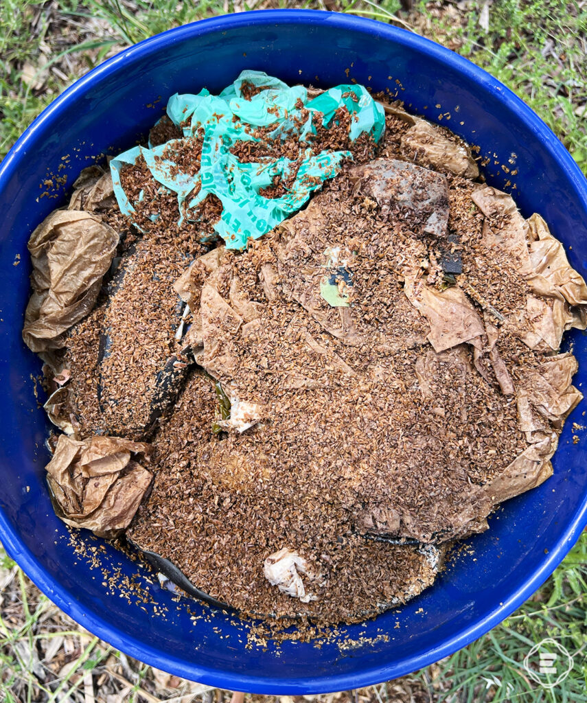 Bokashi-composting-no-mold