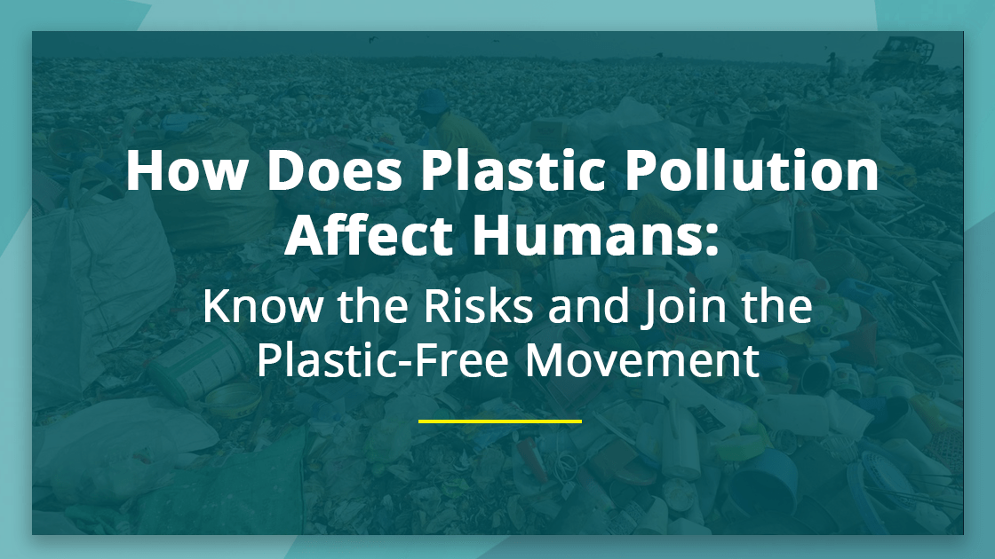 How Does Plastic Pollution Affect Humans, Our Health, and the Environment?