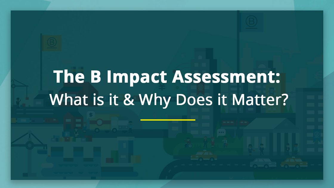 The B Impact Assessment: What are the Requirements to be a B Corp?