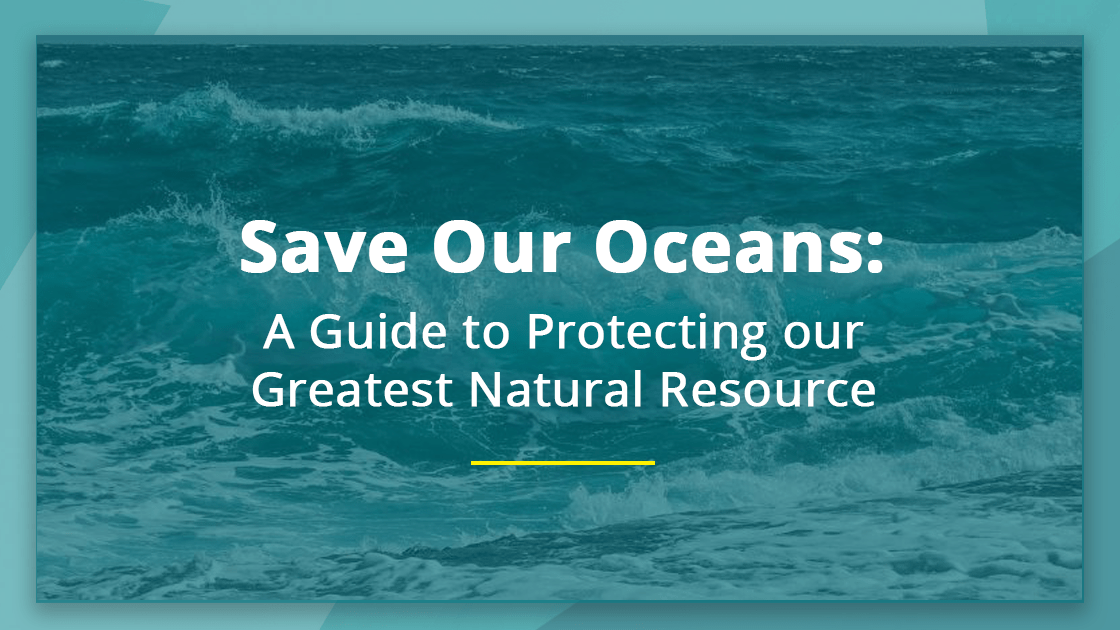 What Can We Do To Help Save The Sea?