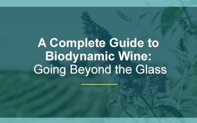 A Complete Guide to Biodynamic Wine: Going Beyond the Glass