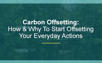Carbon Offsetting: How & Why To Start Offsetting Your Everyday Actions