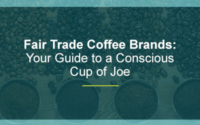 Fair Trade Coffee Brands Your Guide To A Conscious Cup Of Joe Grow Ensemble