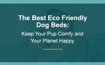 The Best Eco Friendly Dog Beds: Keep Your Pup Comfy and Your Planet Happy