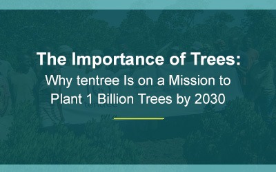 The Importance of Trees: Why tentree Is on a Mission to Plant 1 Billion Trees by 2030