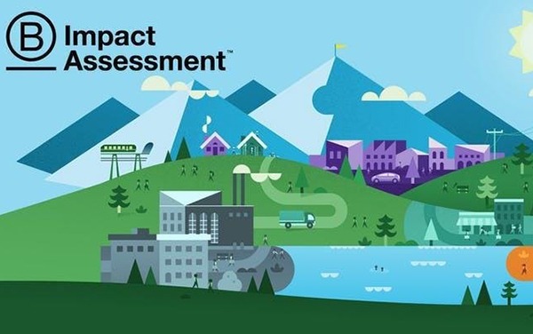 b-corp-impact-assessment