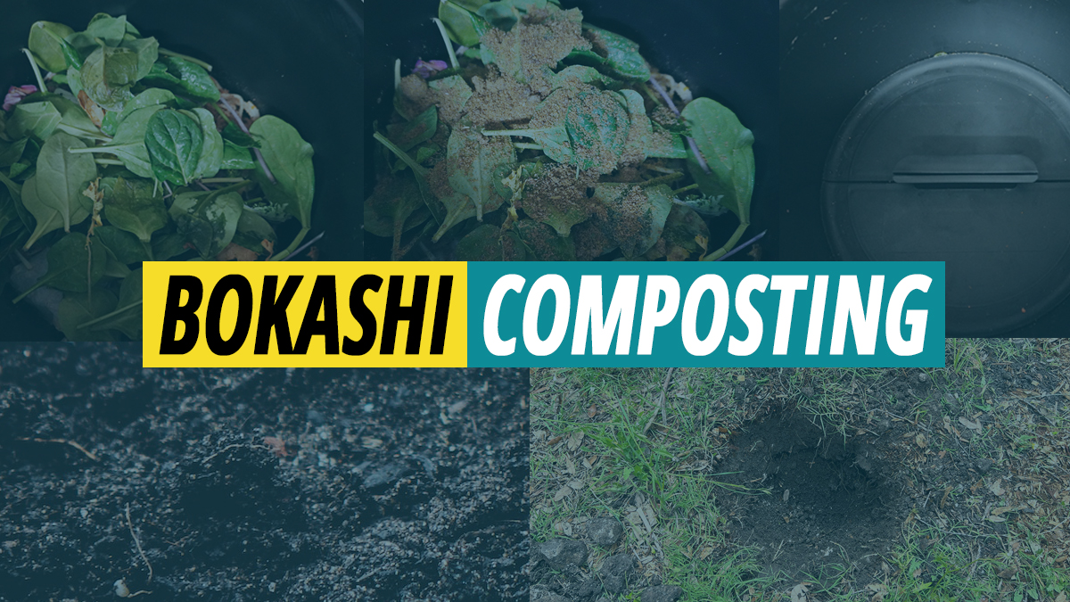 bokashi-composting