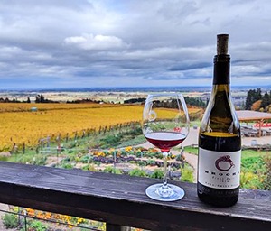 brooks-wine-bottle-and-vineyard