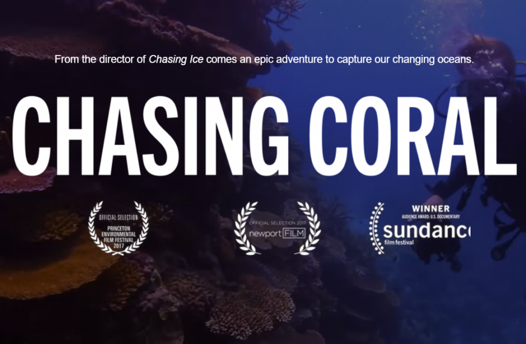 chasing-coral-watch-image