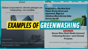 examples-of-greenwashing-featured-image