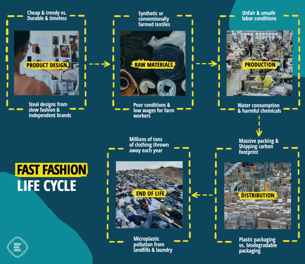 fast-fashion-life-cycle-graphic