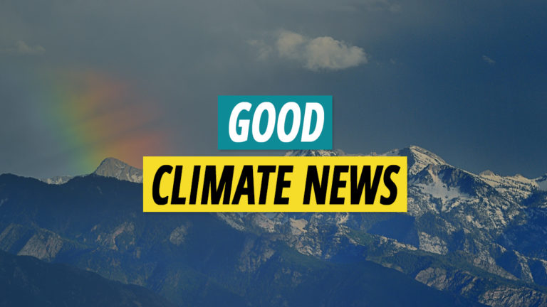 29 Good Climate News Stories to Inspire Optimism