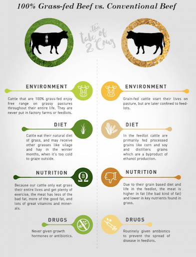 grass-fed-vs-conventional-beef