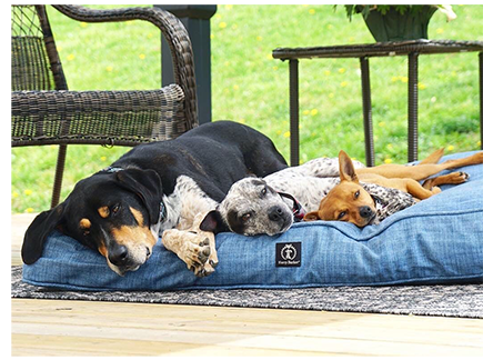 harry-barker-dog-beds