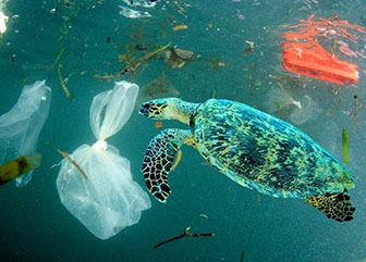 how-does-plastic-get-in-the-ocean-image