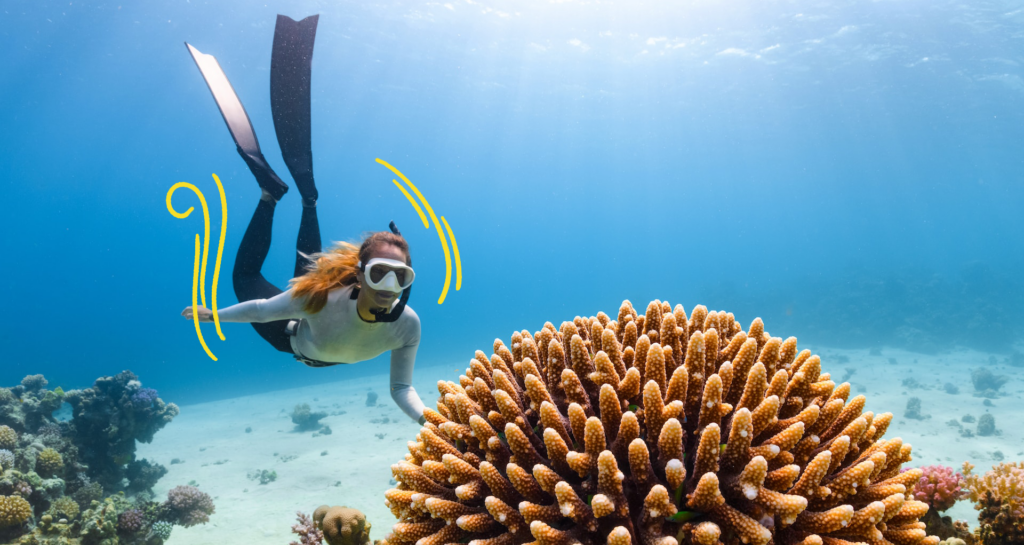 learn-coral-reefs-tourism