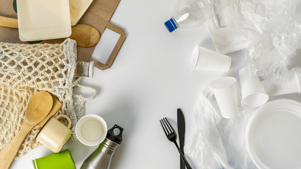 Plastic Alternatives: Your Everyday Guide to a Plastic-Free Future