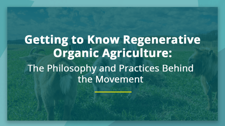regenerative-agriculture-featured-image