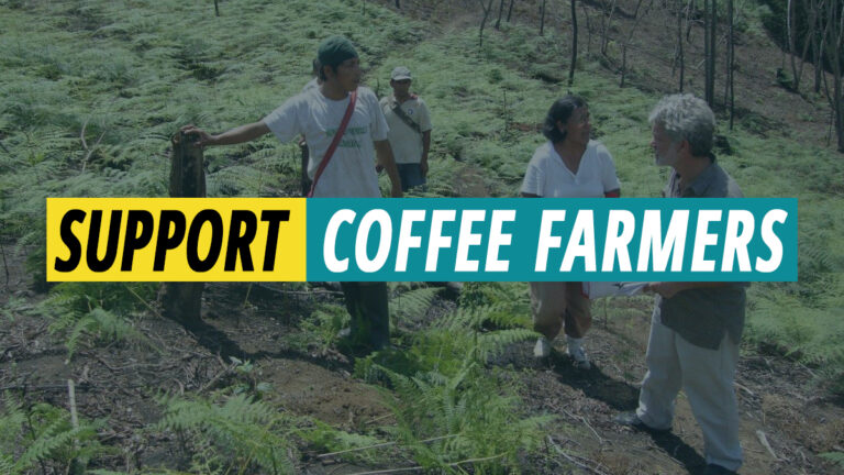 support-coffee-farmers-featured-image