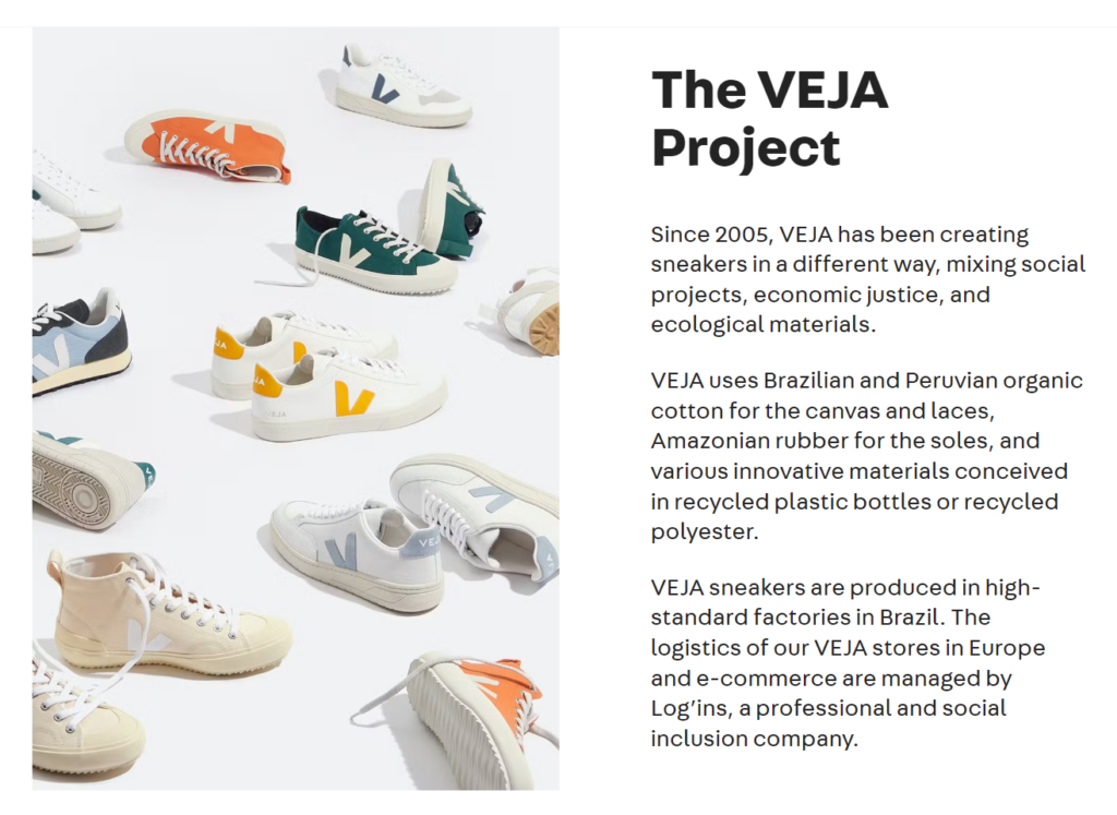 the-veja-project-screenshot