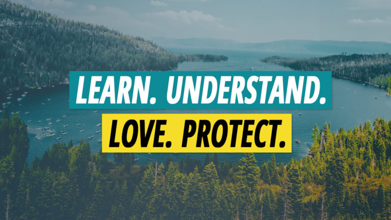 What’s Next: Learn. Understand. Love. Protect. Repeat. ∞